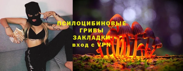 тгк Алексин