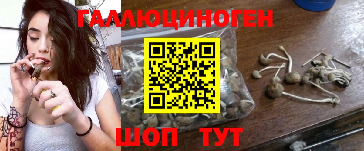 цена наркотик  Вход с VPN  Астрахань  Псилоцибиновые грибы MAGIC MUSHROOMS 