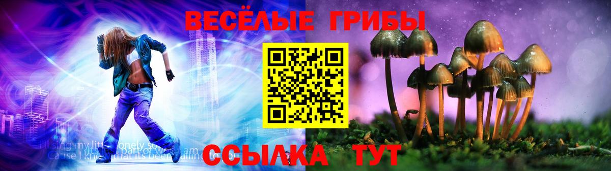 Псилоцибиновые грибы MAGIC MUSHROOMS Астрахань